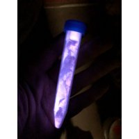 Fosfor Tozu Mor 20 gr