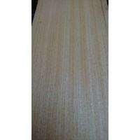 6mmx10cmx100cm Ayous Ağacı