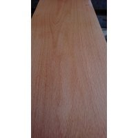 1cmx10cmx100cm Gürgen Ağacı