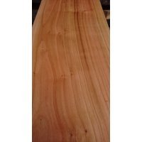 6mmx10cmx100cm Gürgen Ağacı