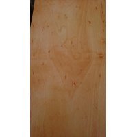 4cmx20cmx20cm Kızıl Ağaç