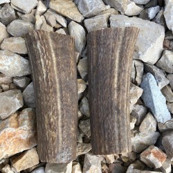 Kapaklık Geyik Boynuzu-3