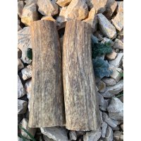 Kapaklık Geyik Boynuzu-31