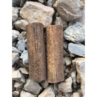 Kapaklık Geyik Boynuzu-32