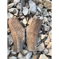 Kapaklık Geyik Boynuzu-33