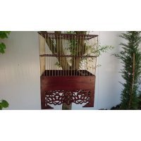 Paduak Ağacı Saka Kafesi