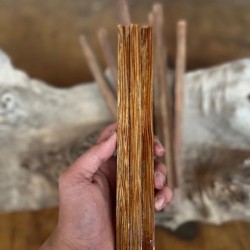 12mmx12mmx60cm Vahşi Palmiye Ağacı (Kırmızı)