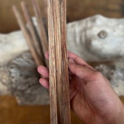 8mmx8mmx50cm Vahşi Palmiya Ağacı (Kırmızı)