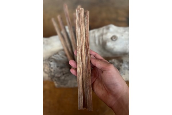 12mmx12mmx60cm Vahşi Palmiye Ağacı (Kırmızı)