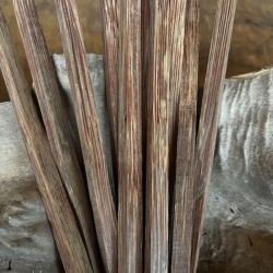 1cmx1cmx50cm Vahşi Palmiya Ağacı (Kırmızı)