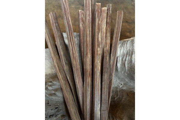 12mmx12mmx60cm Vahşi Palmiye Ağacı (Kırmızı)
