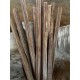 12mmx12mmx60cm Vahşi Palmiye Ağacı (Kırmızı)