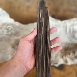 10mmx10mmx50cm Vahşi Palmiya Ağacı (Siyah)