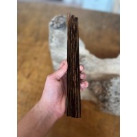 12mmx12mmx60cm Vahşi Palmiya Ağacı (Siyah)