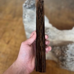 12mmx12mmx60cm Vahşi Palmiya Ağacı (Siyah)